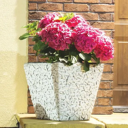 Tatil parkı Olivia Władysławowo