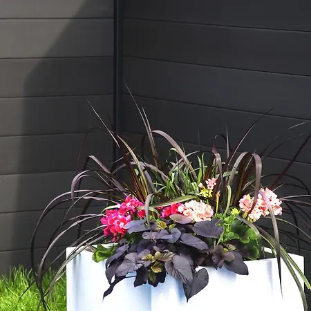 Tatil parkı Olivia *