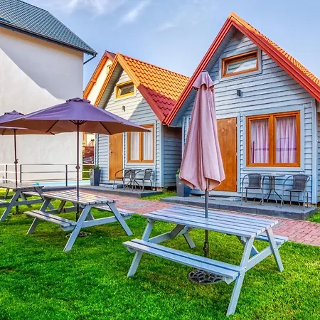 Olivia * Władysławowo