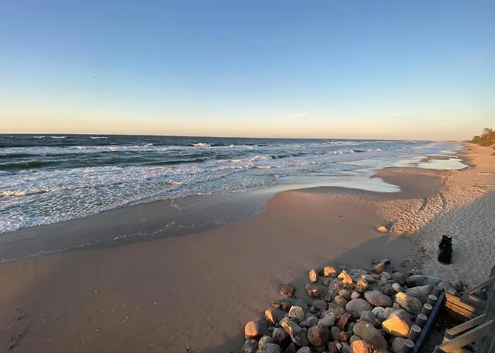 Olivia Władysławowo