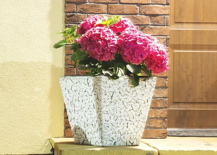 Parque de vacaciones Olivia Władysławowo