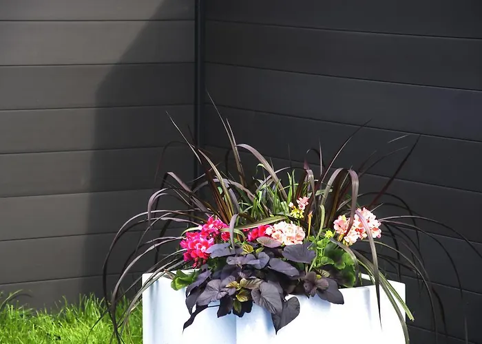 منتزه العطل Olivia *