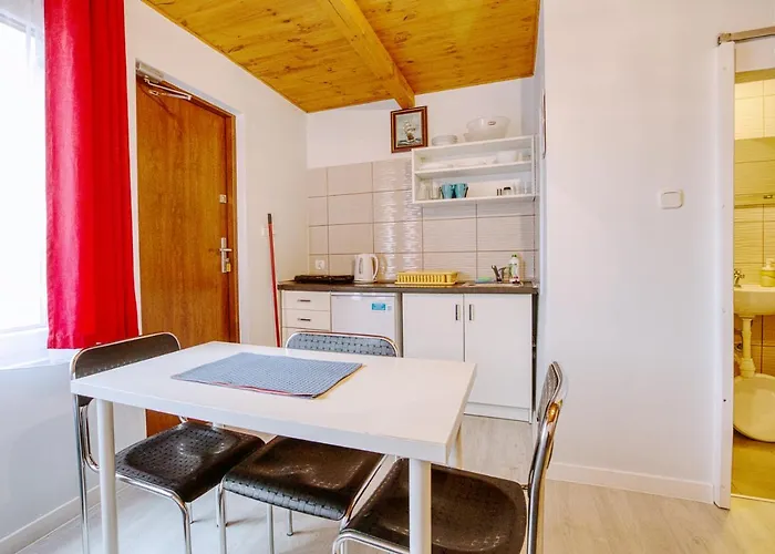 Olivia * Władysławowo