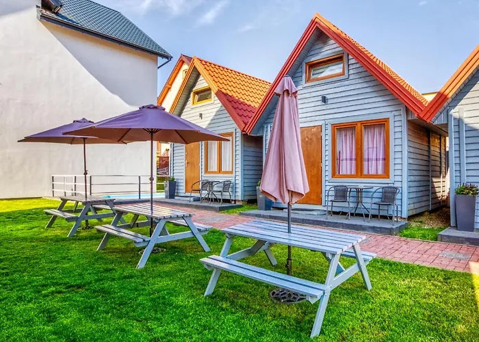 Olivia * Władysławowo